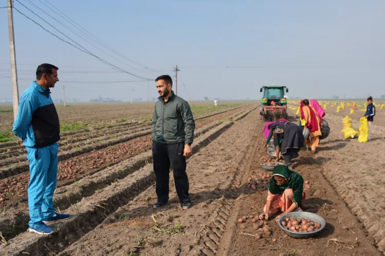 From automated farm tractors to exam paper grading, AI boosts efficiency for some in India